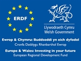 Erdf Logo