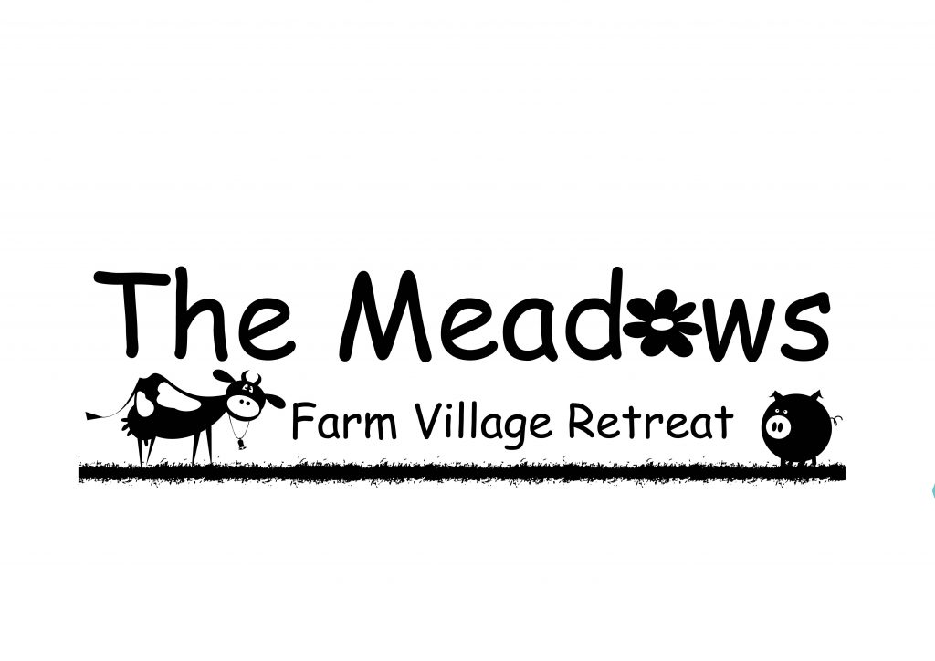 Meadows logo Play Works